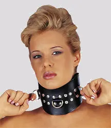 Imagen Collar doble hebilla piel