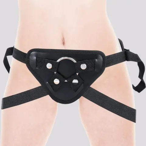 Imagen Arnes sin pene Mr.Intense