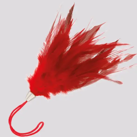 Imagen Pluma roja corta Darkness