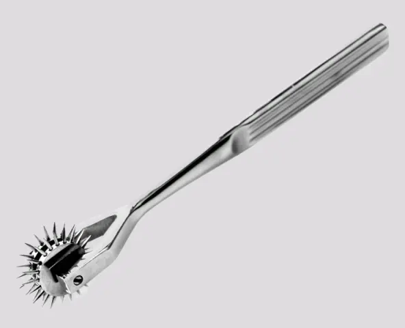 Imagen Doble rueda  pinchos metal