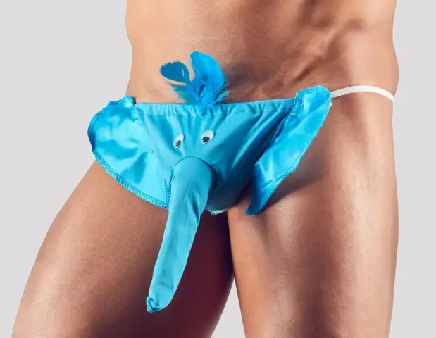 Imagen Tanga elefante azul S-L