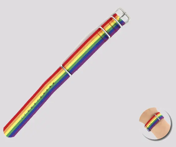 Imagen Pulsera LGTB hebilla