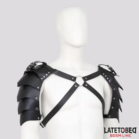 Imagen Arn�s hombros ajustable Latetobed