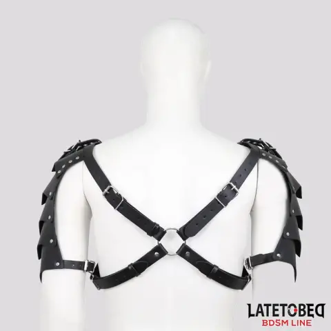 Imagen Arn�s hombros ajustable Latetobed 2