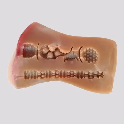 Imagen Vagina y ano  Wanda superrealista Intoyou 3